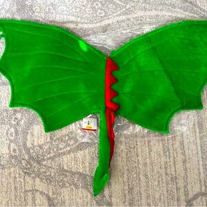 Hanna Andersson Dragon Wings